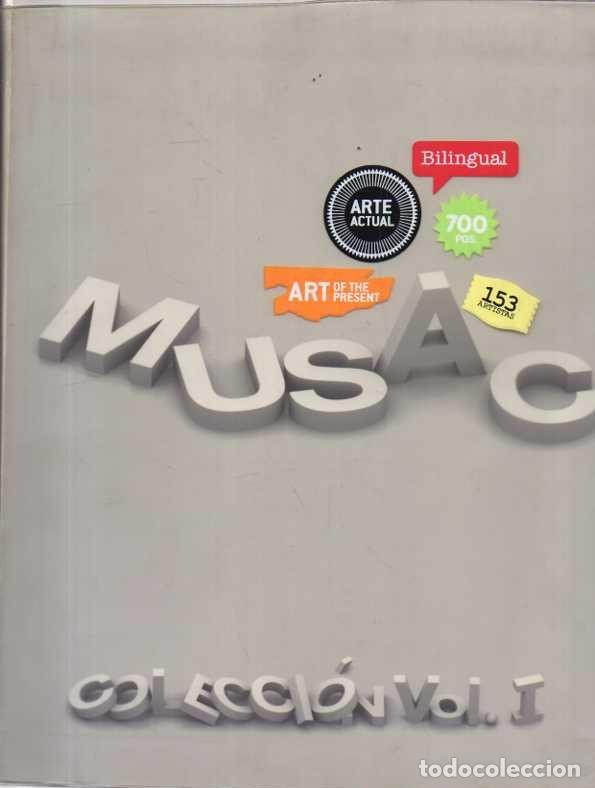 Libros de segunda mano: MUSAC. COLECCI&Oacute;N. VOL. I. - CATALOGO.