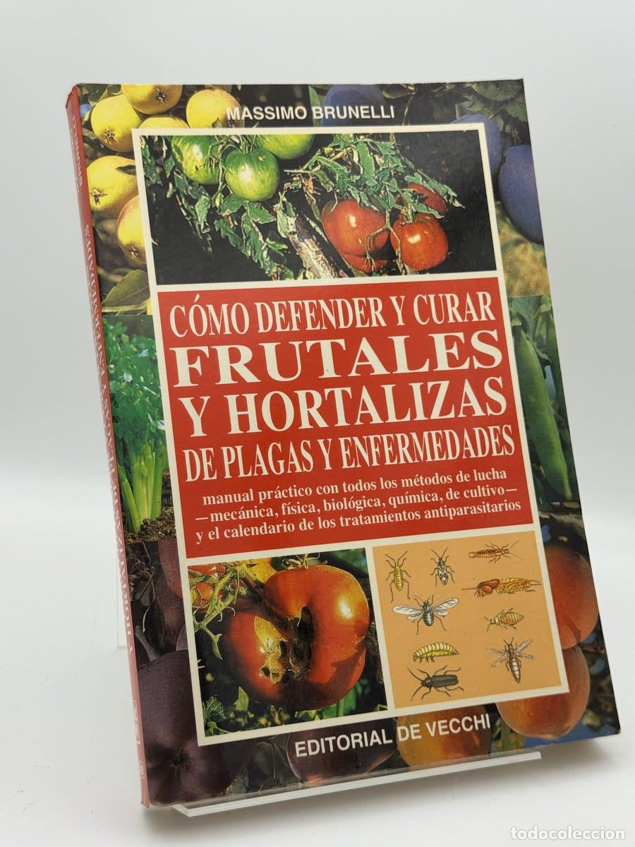 Libros de segunda mano: C&oacute;mo defender y curar frutales y hortalizas de plagas y enfer... - Massimo Brune - Massimo Brunelli