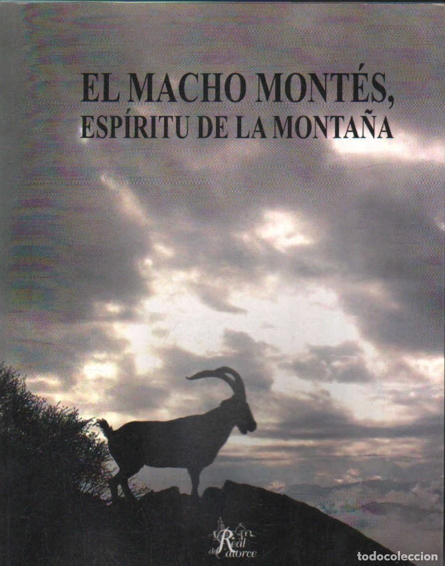Libros de segunda mano: EL MACHO MONT&Eacute;S, ESPIRITU DE LA MONTA&Ntilde;A. DIAZ DE LOS REYES, ANTONIO. A-CAZ-597