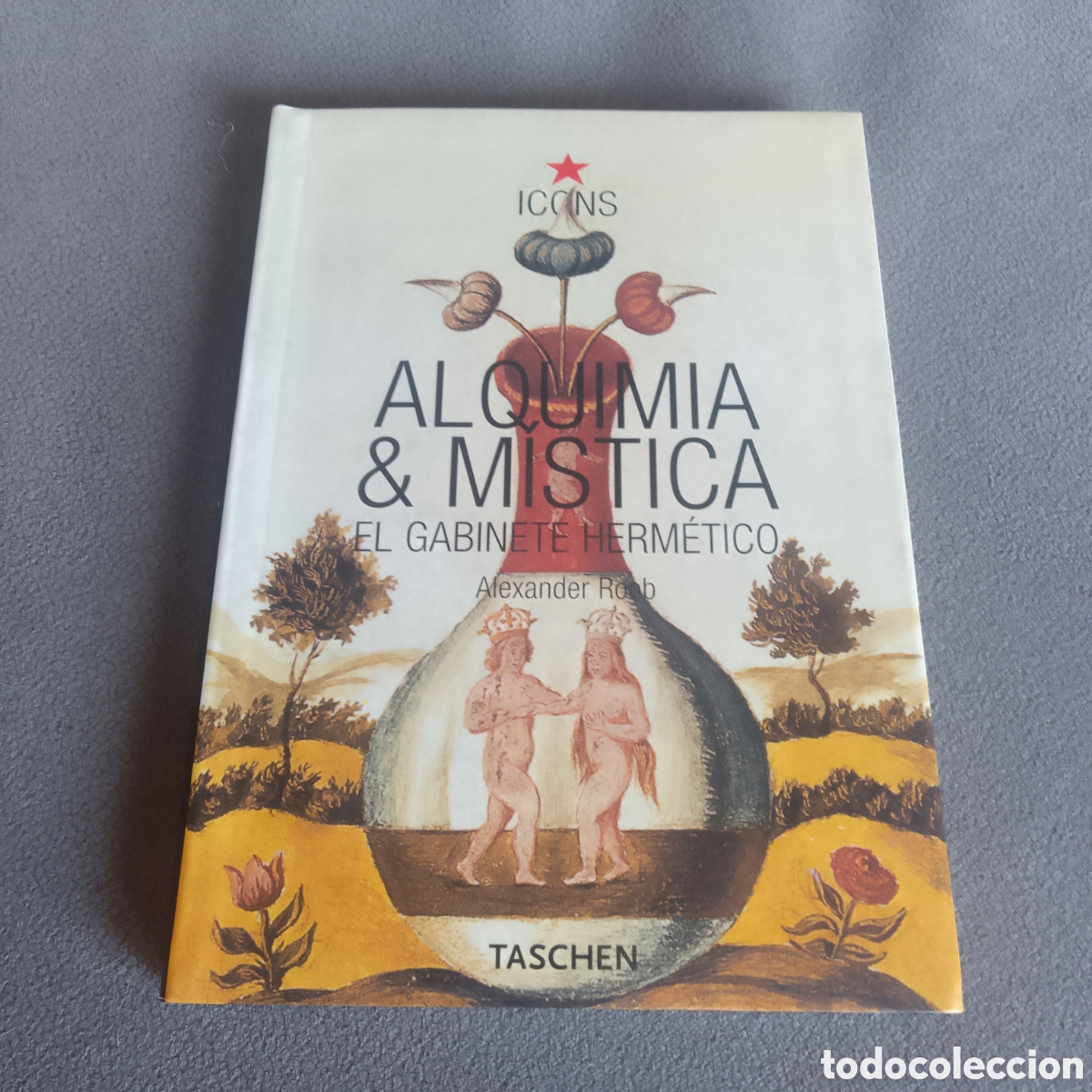 Libros de segunda mano: ALQUIMIA & MISTICA EL GABINETE HERMETICO POR ALEXANDER ROOB 2005 TASCHEN