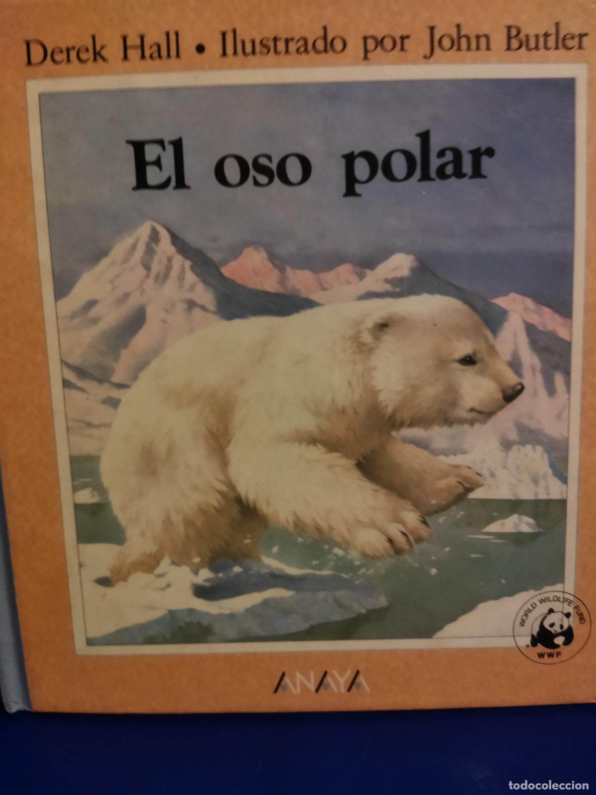 Libros de segunda mano: El.oso polar Derek Hall Anaya