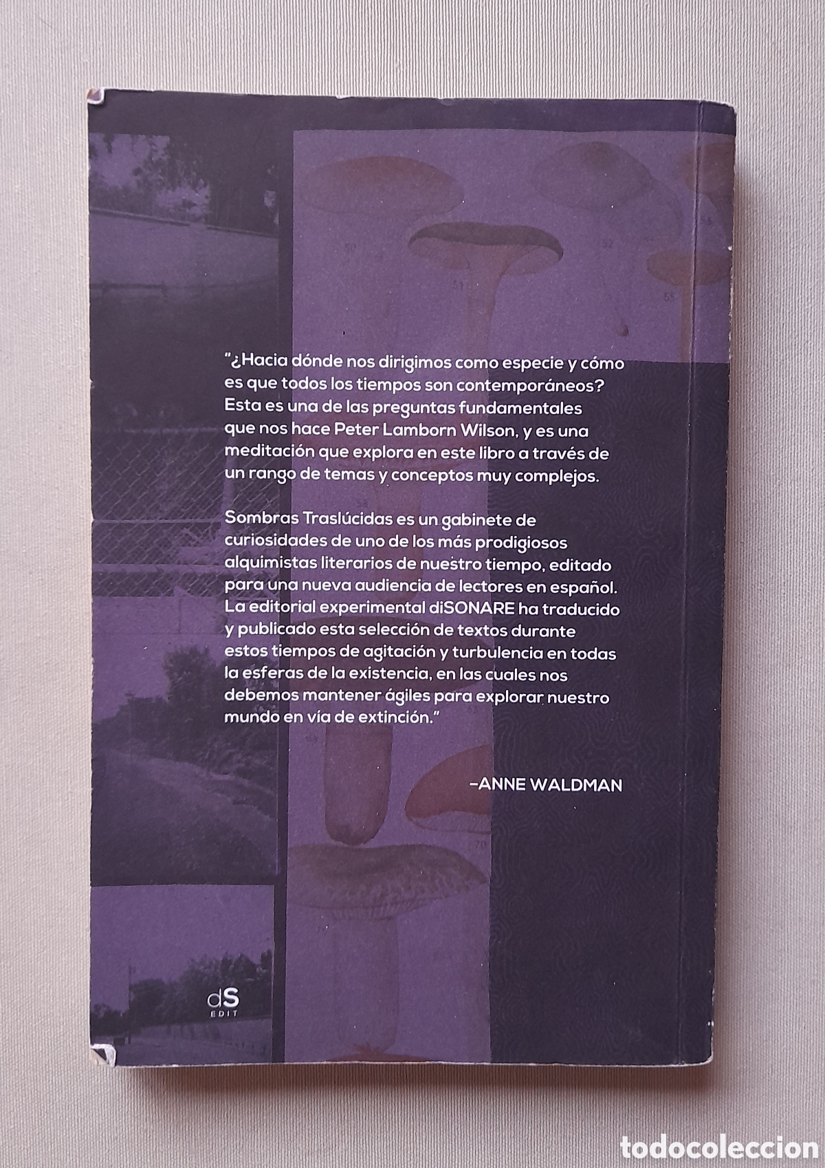 Libros de segunda mano: Sombras trasl&uacute;cidas. Peter Lamborn Wilson - Foto 2