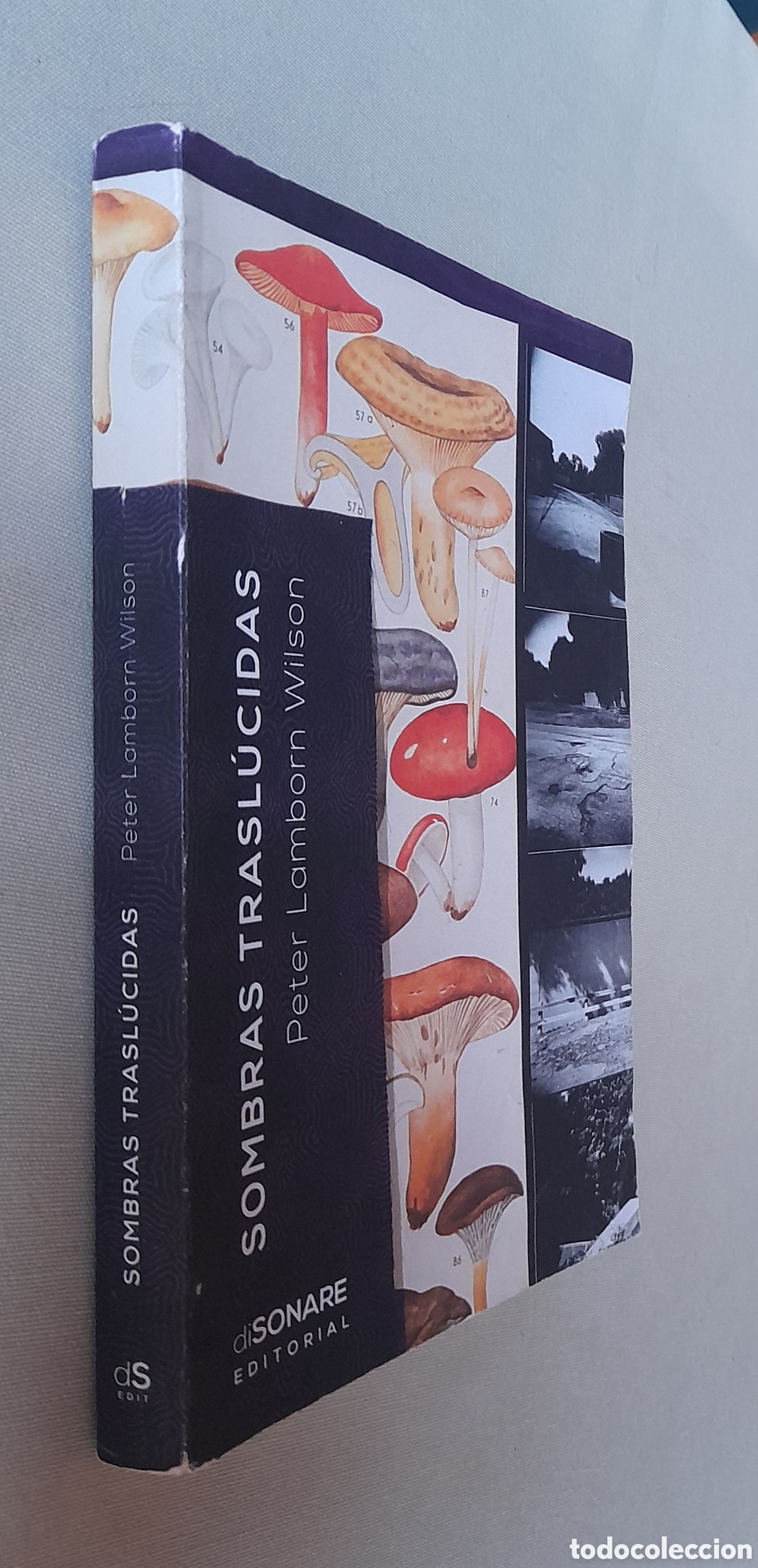 Libros de segunda mano: Sombras trasl&uacute;cidas. Peter Lamborn Wilson - Foto 3