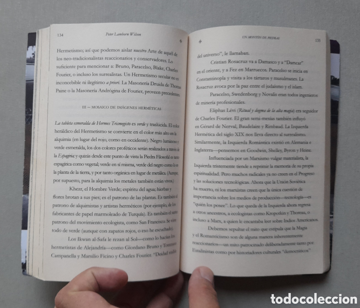 Libros de segunda mano: Sombras trasl&uacute;cidas. Peter Lamborn Wilson - Foto 5
