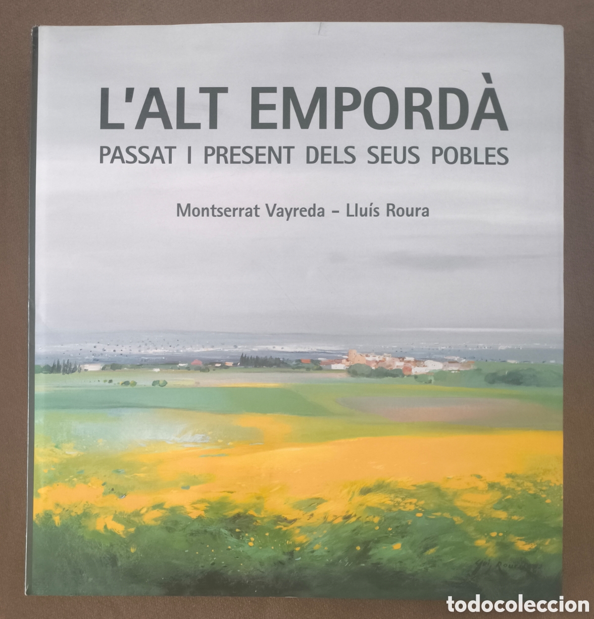 Libros de segunda mano: L'ALT EMPORD&Agrave; FOTOGRAF&Iacute;A PINTURA LIBRO DESCATALOGADO