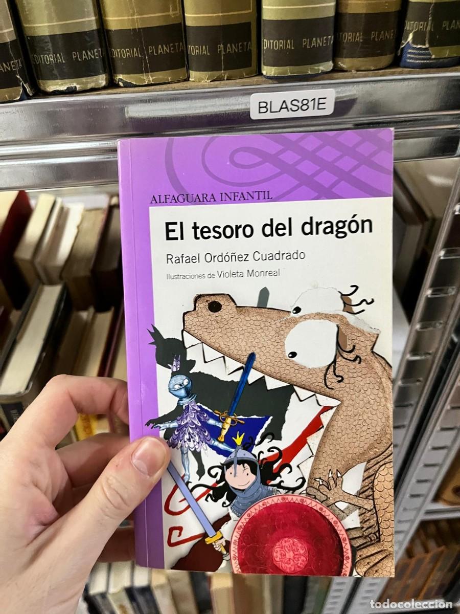 Libri di seconda mano: BLAS81E &mdash; El tesoro del drag&oacute;n &mdash; Rafael Ord&oacute;&ntilde;ez Cuadrado &mdash; Alfaguara Infantil