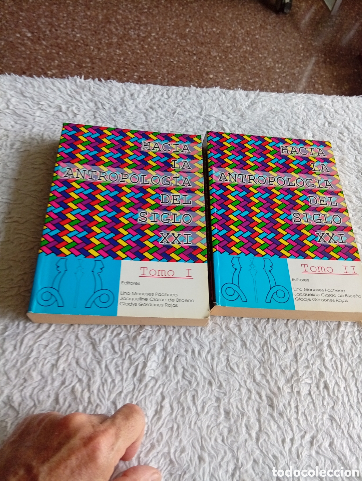 Libros de segunda mano: Hacia la antropolog&iacute;a del siglo XXI. Tomo I y II