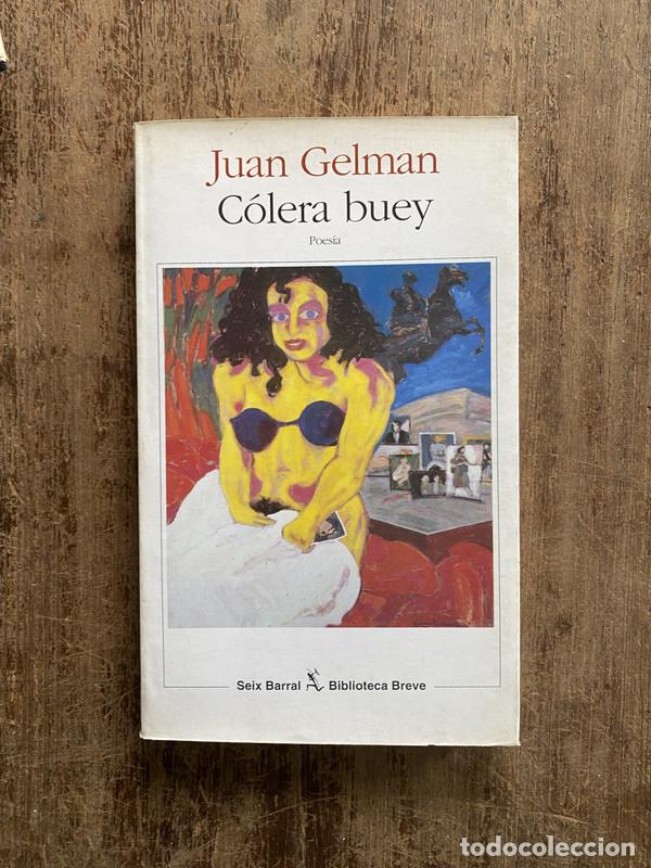 Libros de segunda mano: Colera buey - Gelman Juan