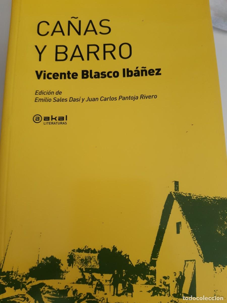 Libros de segunda mano: Ca&ntilde;as y barro Vicente Blasco Iba&ntilde;ez edici&oacute;n de Emilio Sales Das&iacute; y Juan Carlos Pantoja