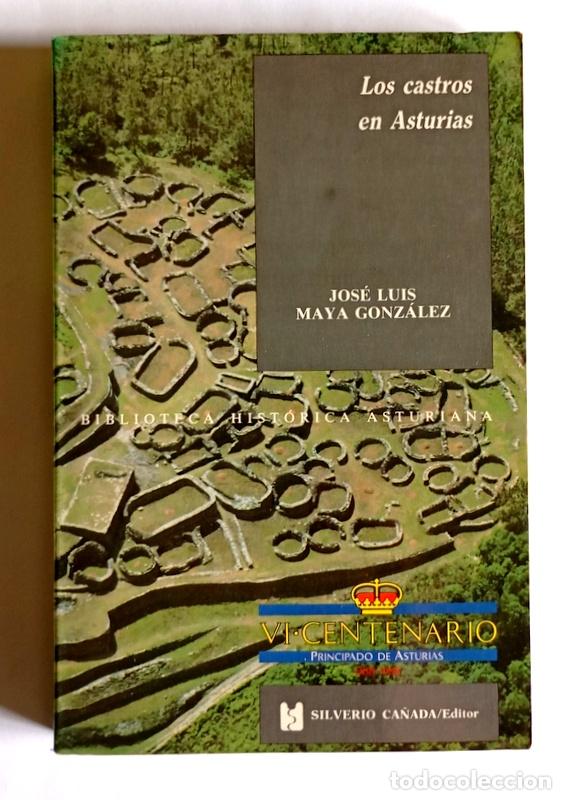 Libros de segunda mano: LOS CASTROS EN ASTURIAS -JOSE LUIS MAYA GONZALEZ