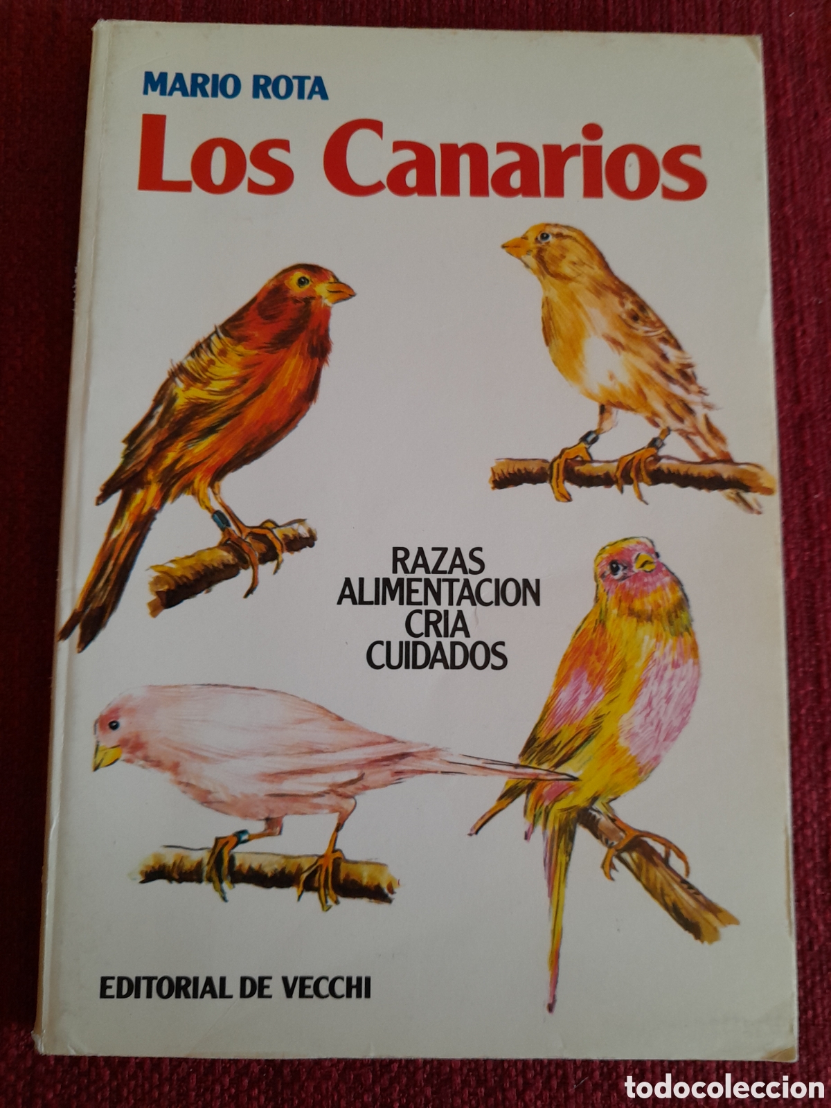 Libros de segunda mano: -Los Canarios.Mario Rota.