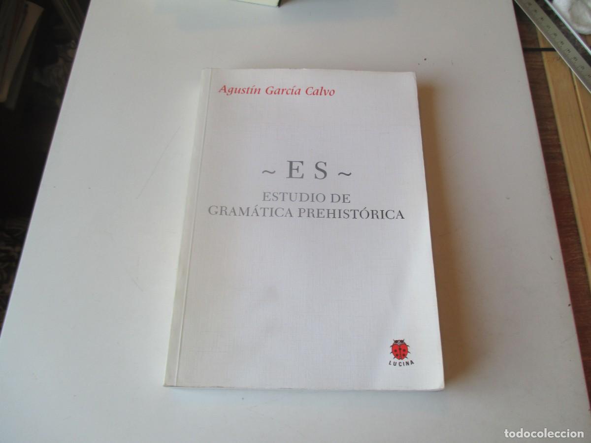 Libros de segunda mano: AGUST&Iacute;N GARC&Iacute;A CALVO ES . Estudio de gram&aacute;tica prehist&oacute;rica W40558