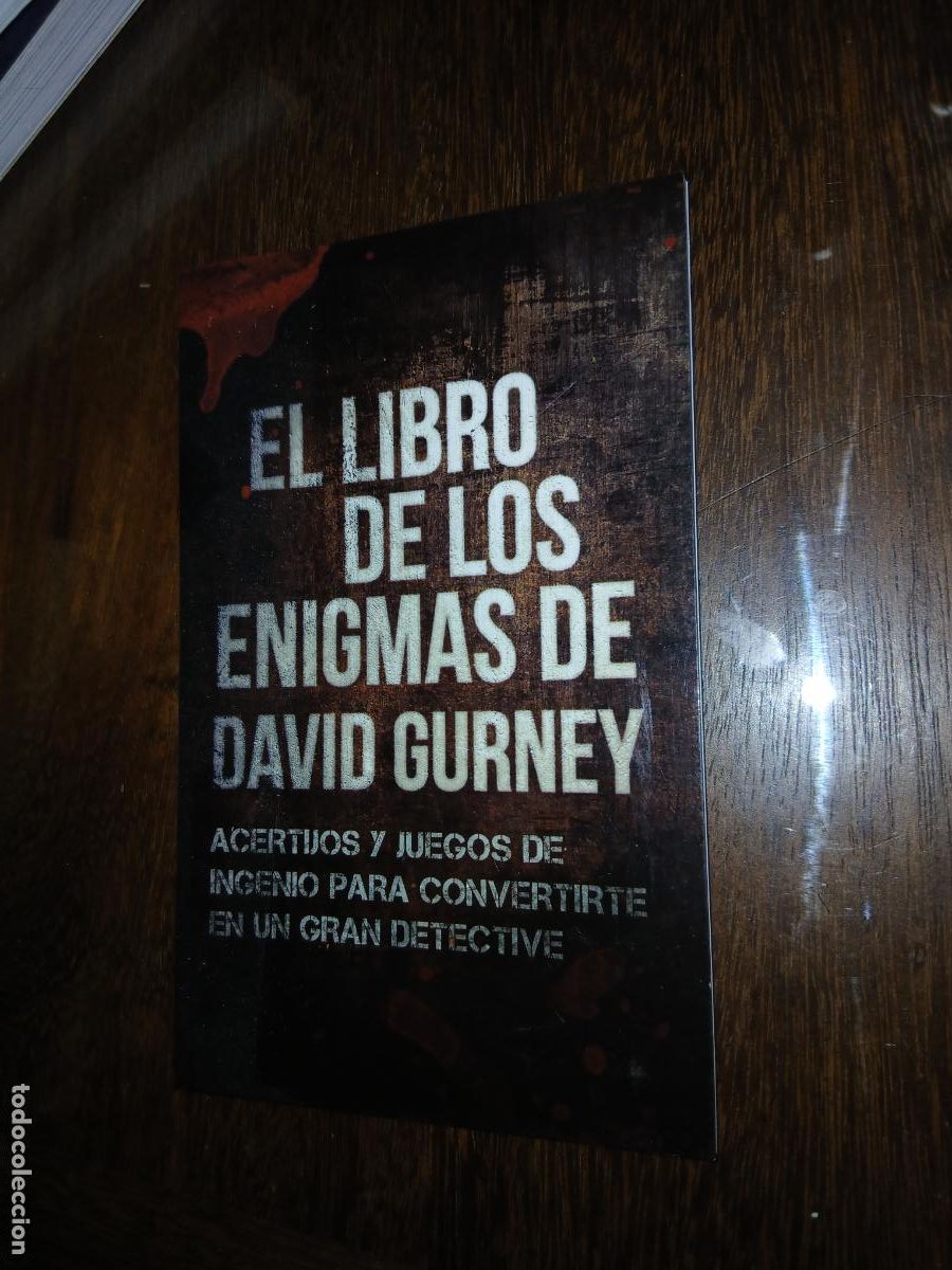 Libros de segunda mano: EL LIBRO DE LOS ENIGMAS DE DAVID GURNEY. ACERTIJOS Y JUEGOS DE INGENIO. ROCA EDITORIAL