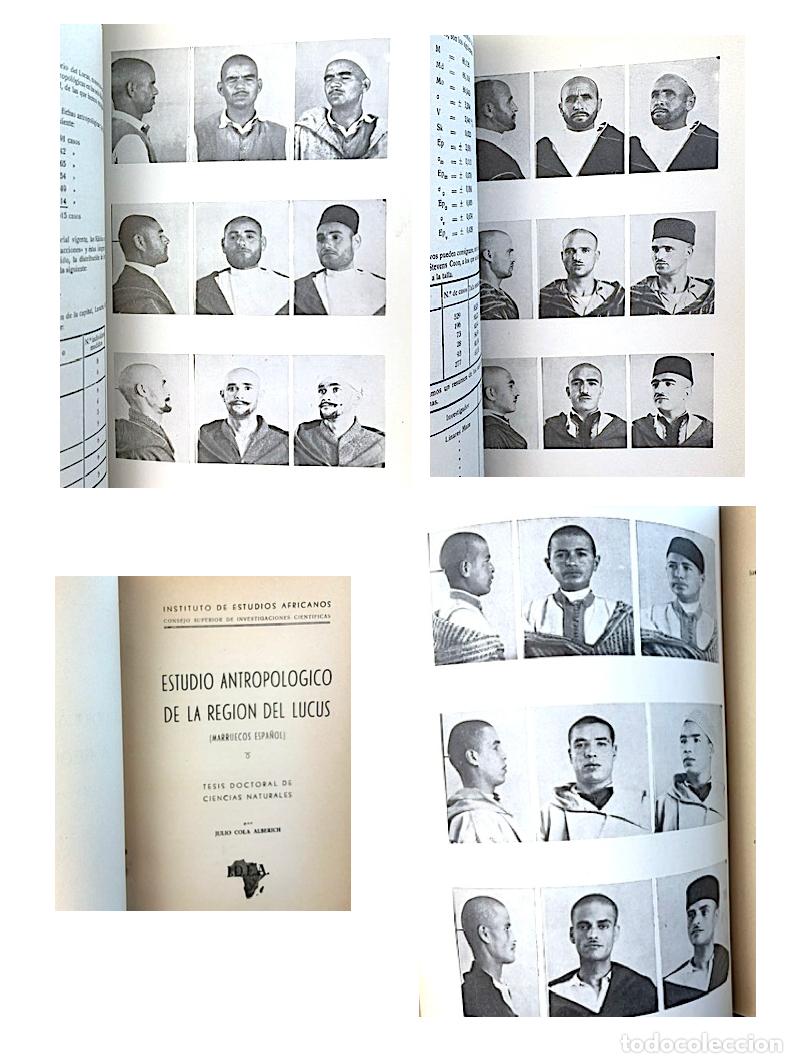 Libros de segunda mano: Estudio antropol&oacute;gico de la regi&oacute;n del Lucus (Marruecos espa&ntilde;ol) Cola. Estudios Africanos, 1953.