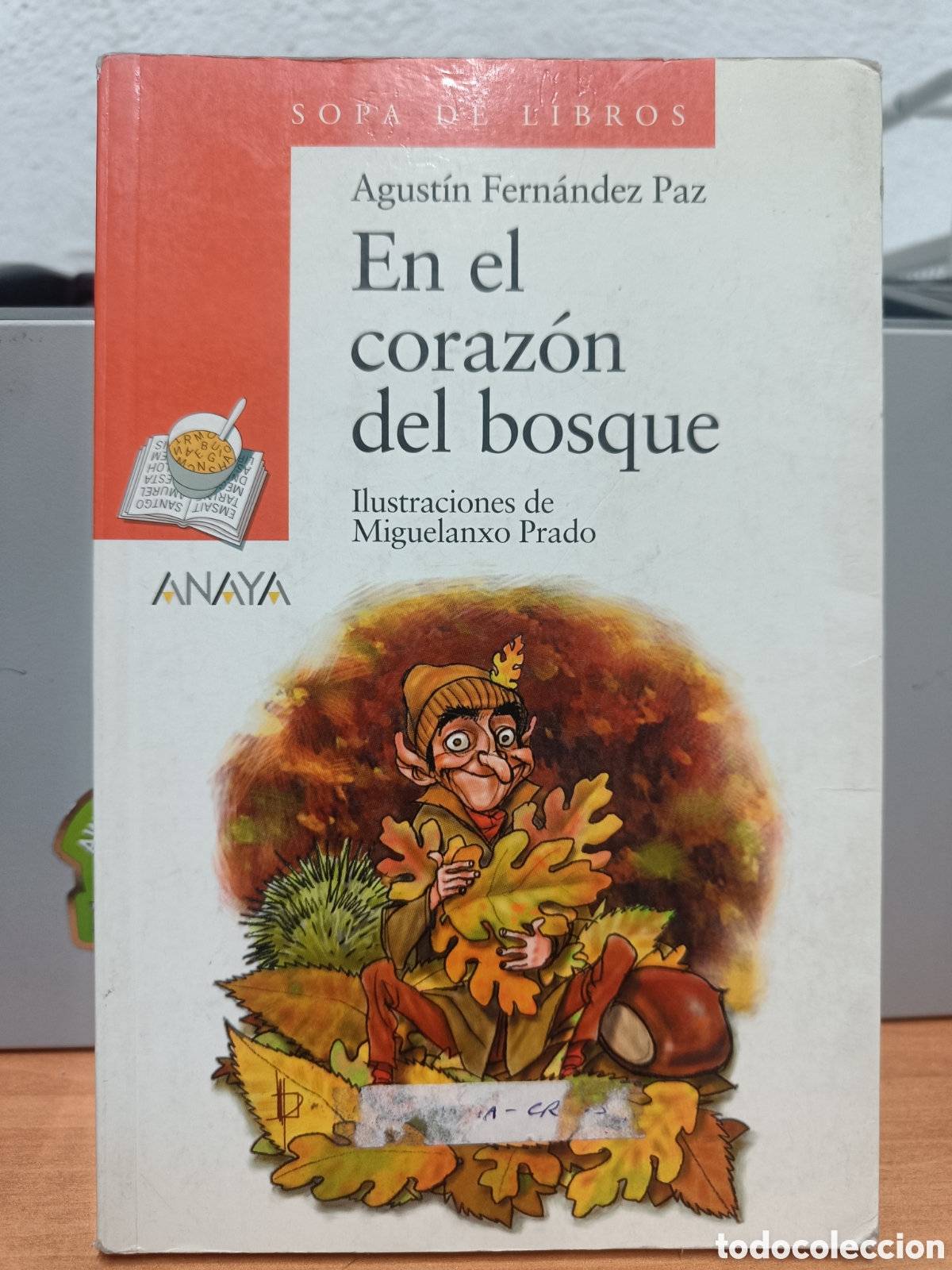 Libros de segunda mano: EN EL CORAZ&Oacute;N DEL BOSQUE. AGUST&Iacute;N FERN&Aacute;NDEZ PAZ.