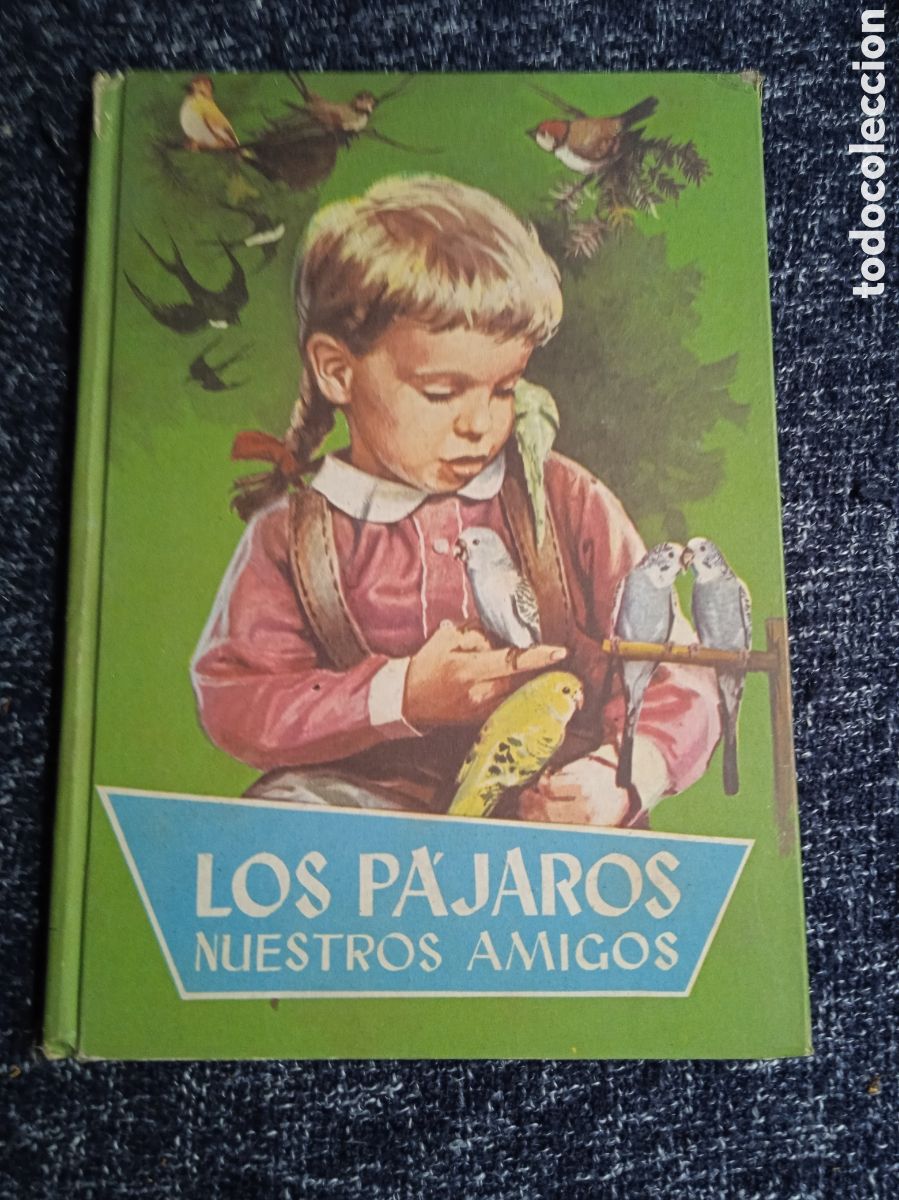 Livres d'occasion: LOS P&Aacute;JAROS NUESTROS AMIGOS / FLORENCIA DE ARQUER -ED. FERMA