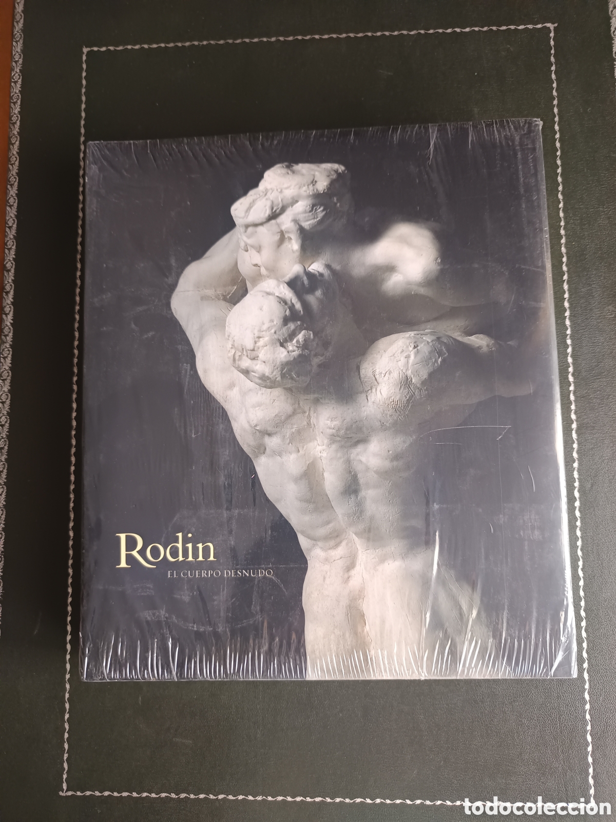 Libros de segunda mano: Rodin, El cuerpo desnudo de Auguste Rodin (Autor)