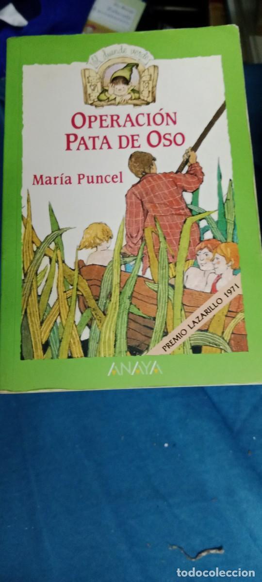 Libros de segunda mano: OPERACION PATA DE OSO. MARIA PUNCEL. EDICIONES ANAYA LIBRO CU-02