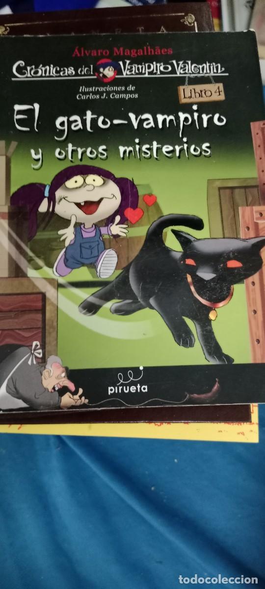 Libros de segunda mano: El gato-vampiro y otros misterios- ALVARO MAGALHAES LIBRO GG-RM