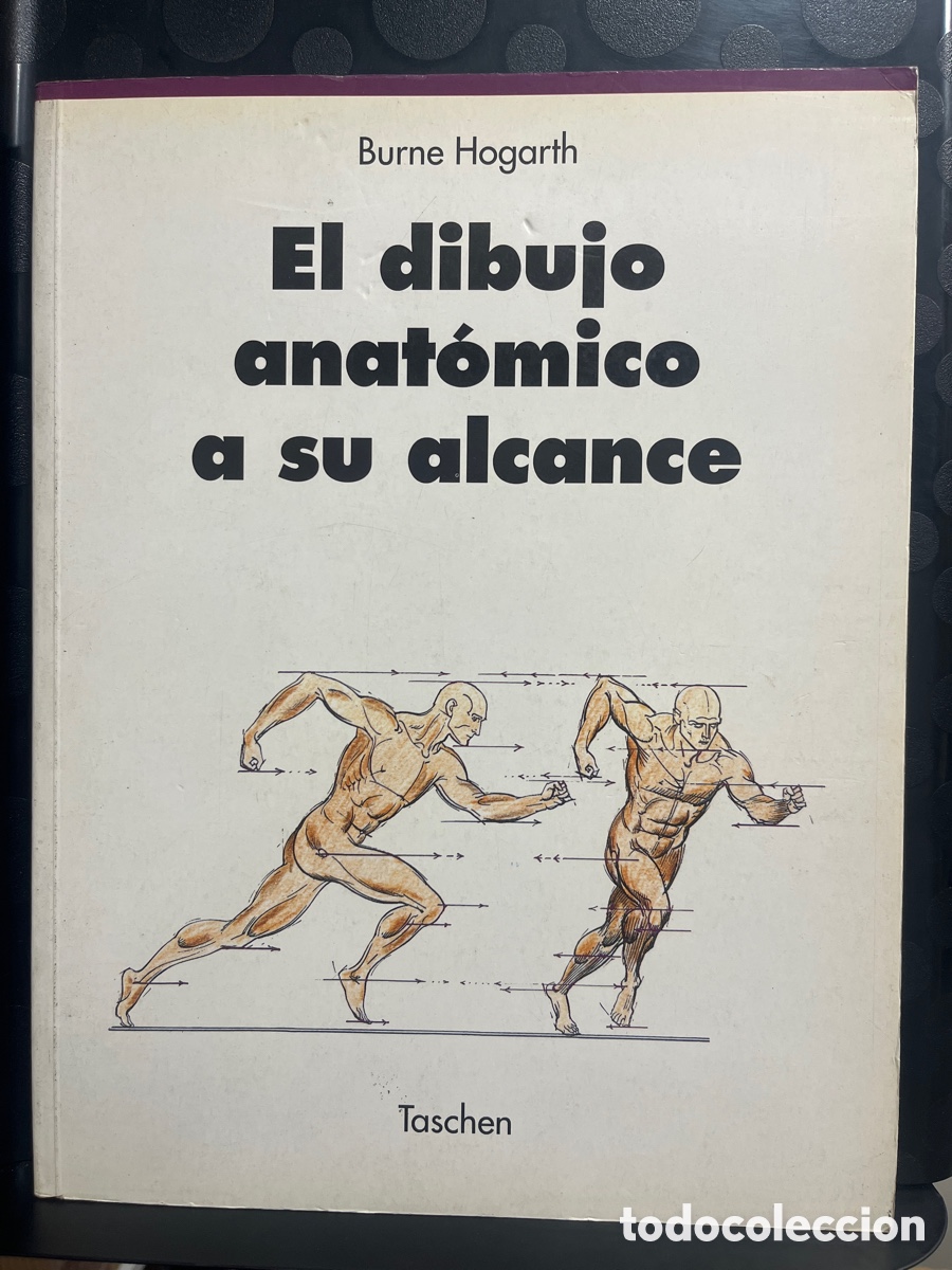 Libros de segunda mano: EL DIBUJO ANAT&Oacute;MICO A SU ALCANCE de BURNE HOGARTH Ed TASCHEN ( 1996 )
