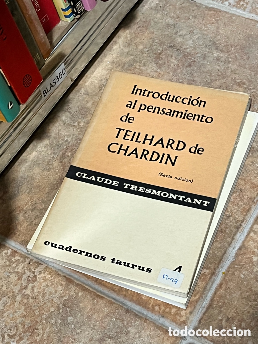 Libros de segunda mano: BLAS36D Introducci&oacute;n al pensamiento de TEILHARD de CHARDIN