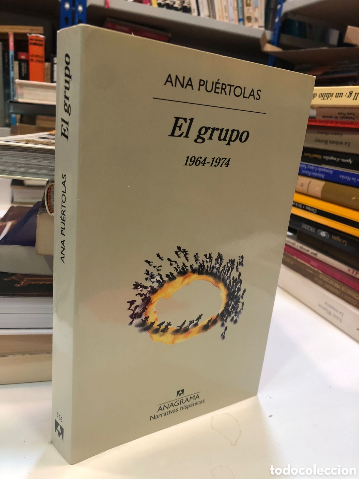 Libros de segunda mano: El grupo, 1964-1974 - Ana Pu&eacute;rtolas