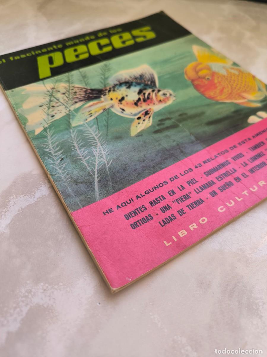 Livros em segunda m&atilde;o: El fascinante mundo de los peces libro cultural fher