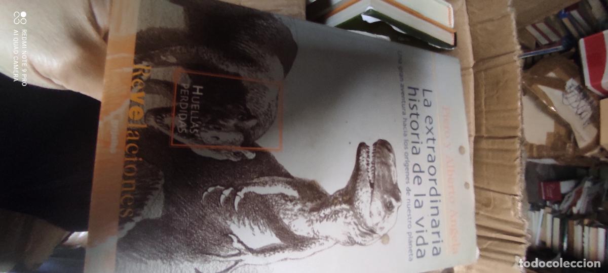 Libros de segunda mano: LA EXTRAORDINARIA HISTORIA DE LA VIDA - ANGELA, PIERO Y ALBERTO