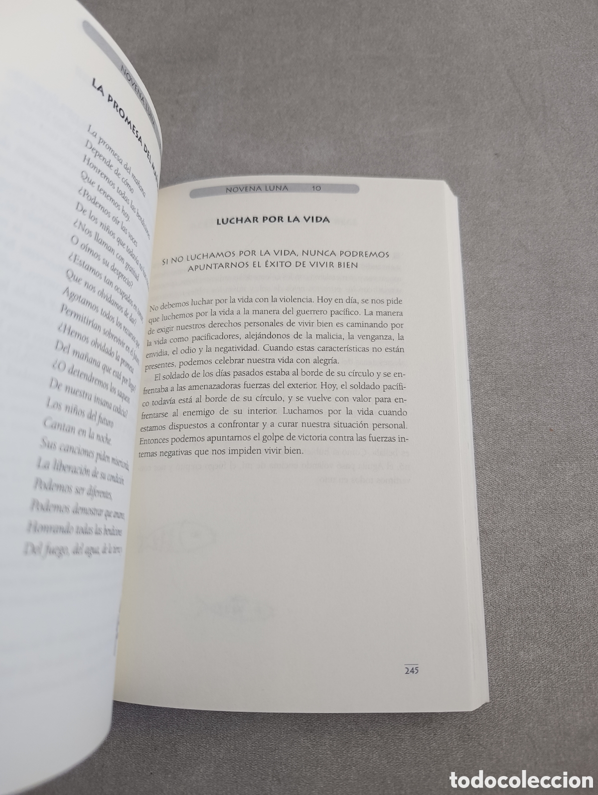 Libros de segunda mano: LA MEDICINA DE LA TIERRA - SAMS, JAMIE - Foto 9
