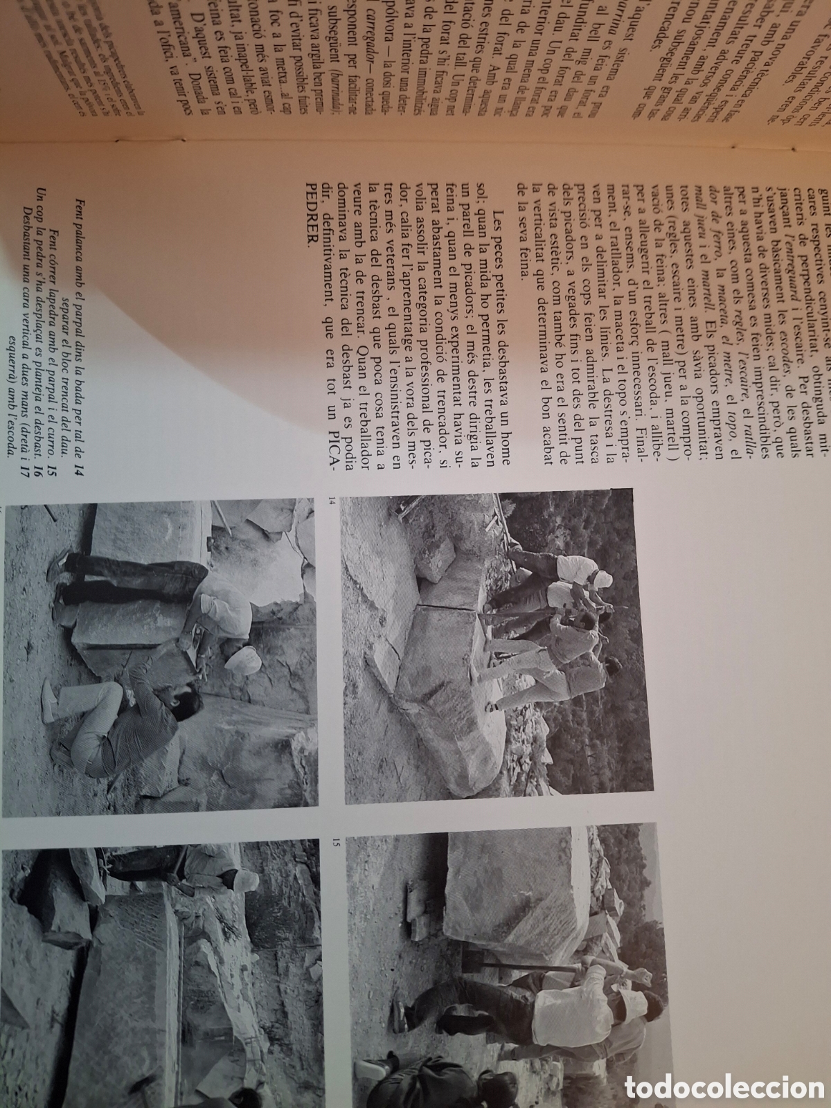 Libros de segunda mano: PEDRA A LA FLORESTA, COAATB, 1988 - Foto 2