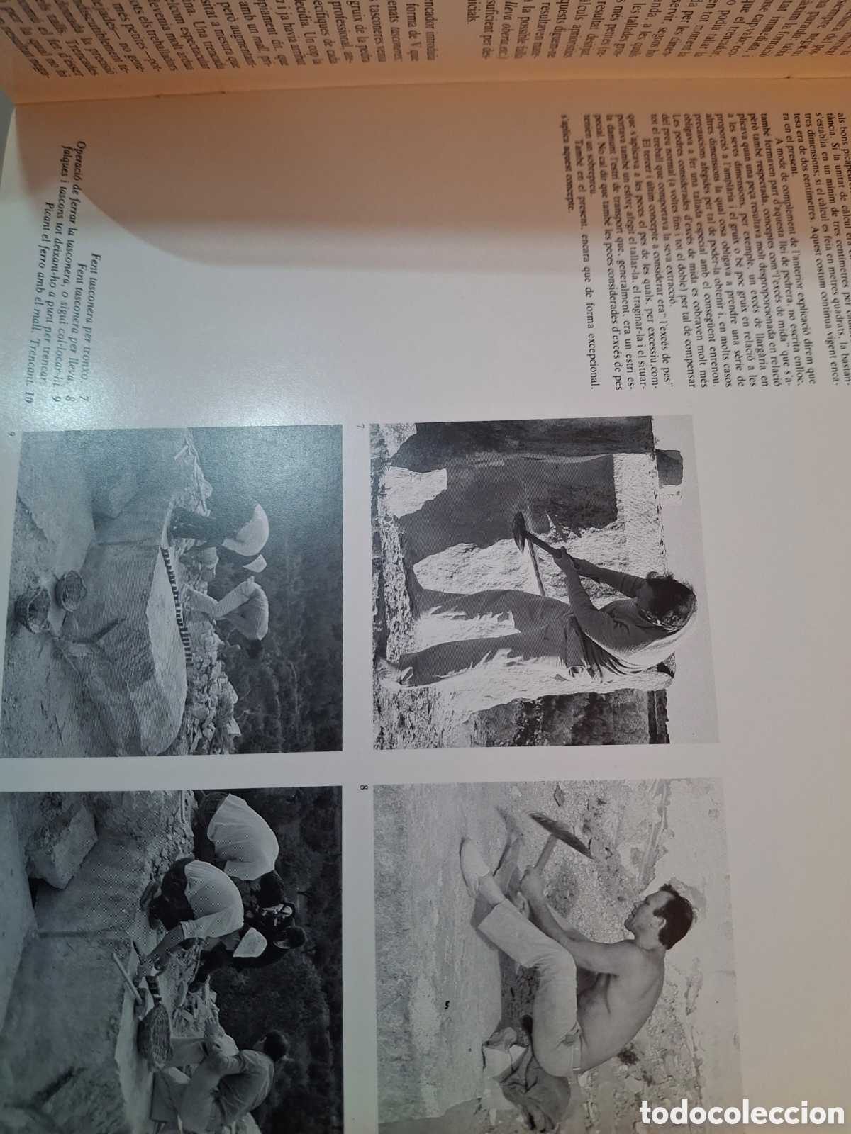 Libros de segunda mano: PEDRA A LA FLORESTA, COAATB, 1988 - Foto 3