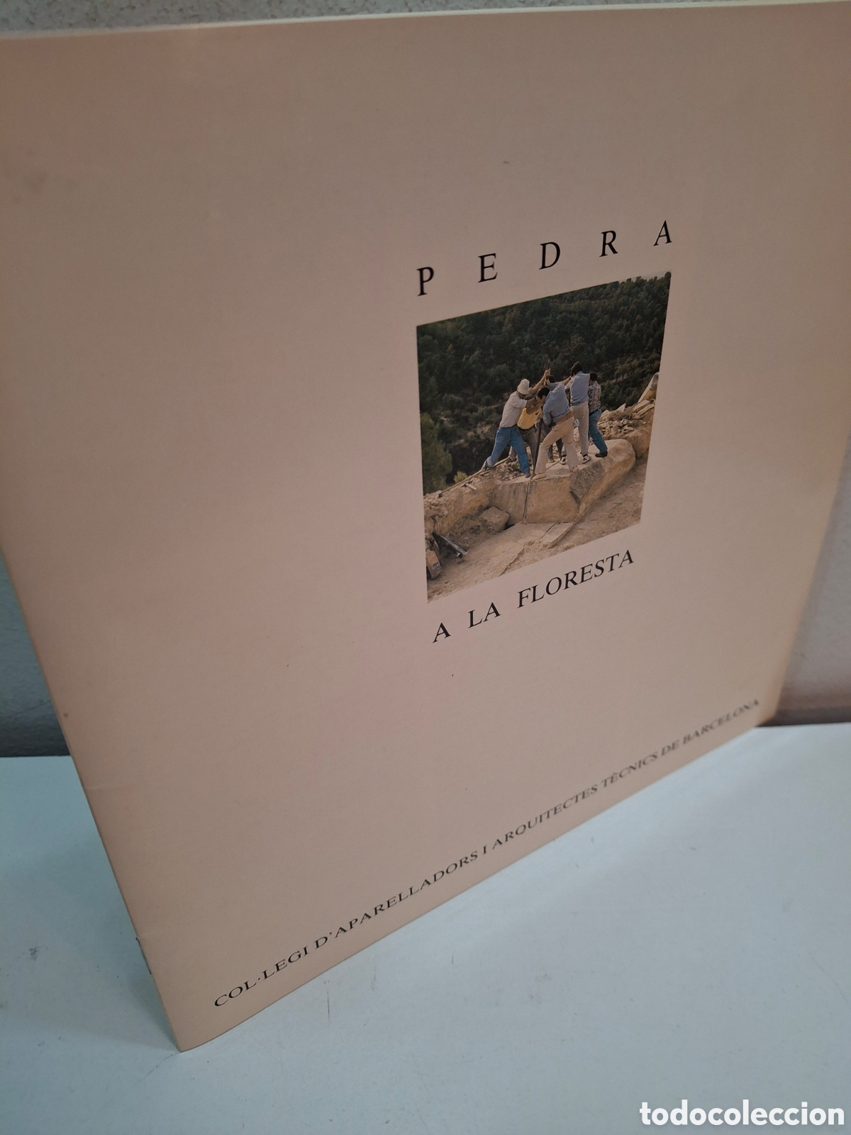 Libros de segunda mano: PEDRA A LA FLORESTA, COAATB, 1988