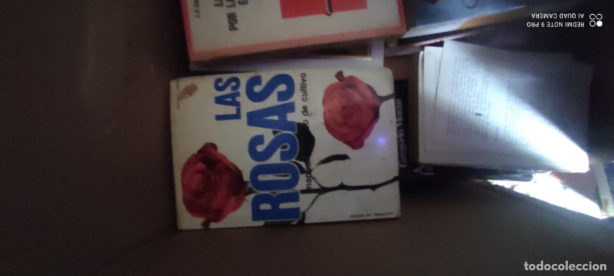 Libros de segunda mano: Las rosas. Manual pr&aacute;ctico de cultivo. Raimundo Campos