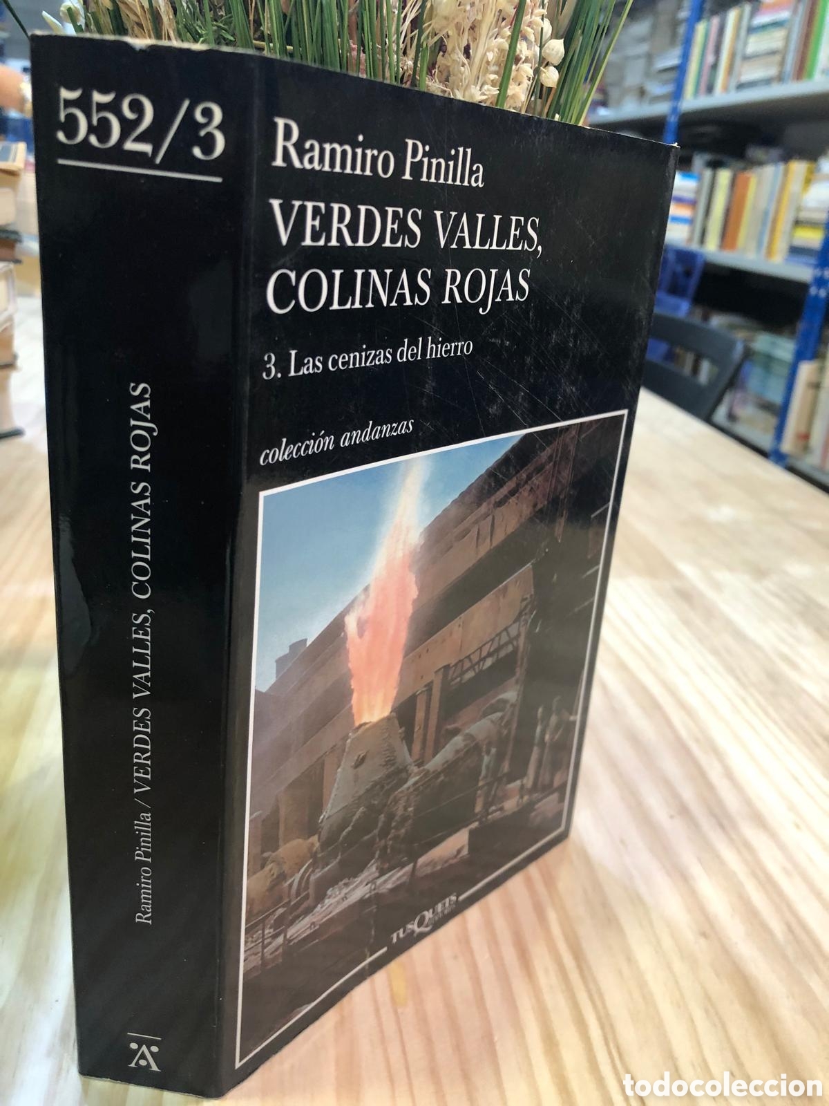 Gebrauchte B&uuml;cher: Verdes valles, colinas rojas. 3. Las cenizas del hierro - Ramiro Pinilla