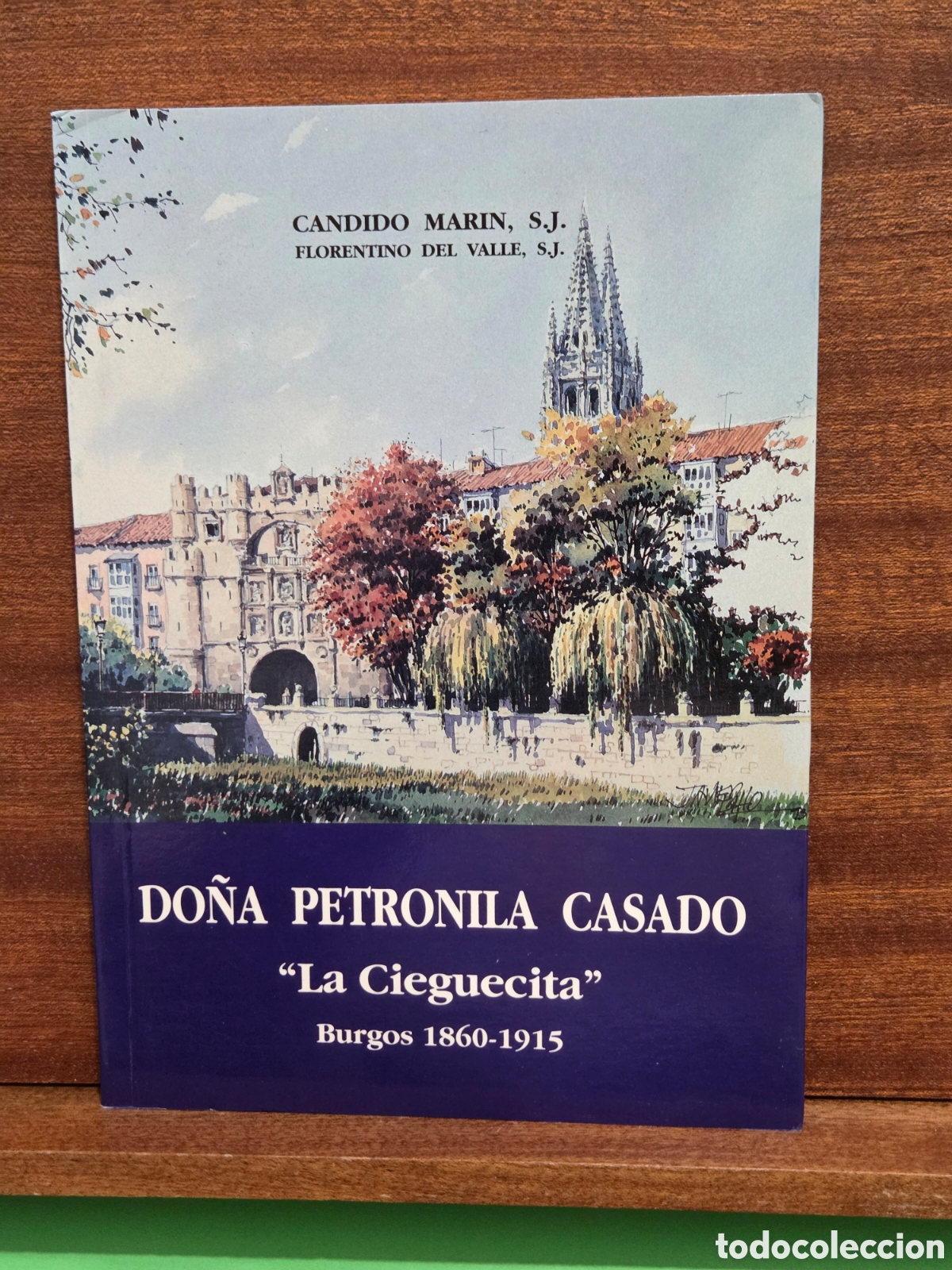 Libros de segunda mano: &rdquo;&rdquo;DO&Ntilde;A PETRONILA CASADO &rdquo;LA CIEGUECITA&rdquo;&rdquo;&rdquo;...BURGOS 1860-1915...CANDIDO MARIN, S.J...1994...