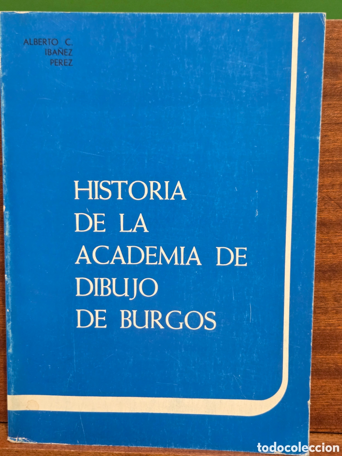 Libros de segunda mano: &rdquo;&rdquo;HISTORIA DE LA ACADEMIA DE DIBUJO DE BURGOS&rdquo;&rdquo;...ALBERTO C. IBA&Ntilde;EZ PEREZ...1982....