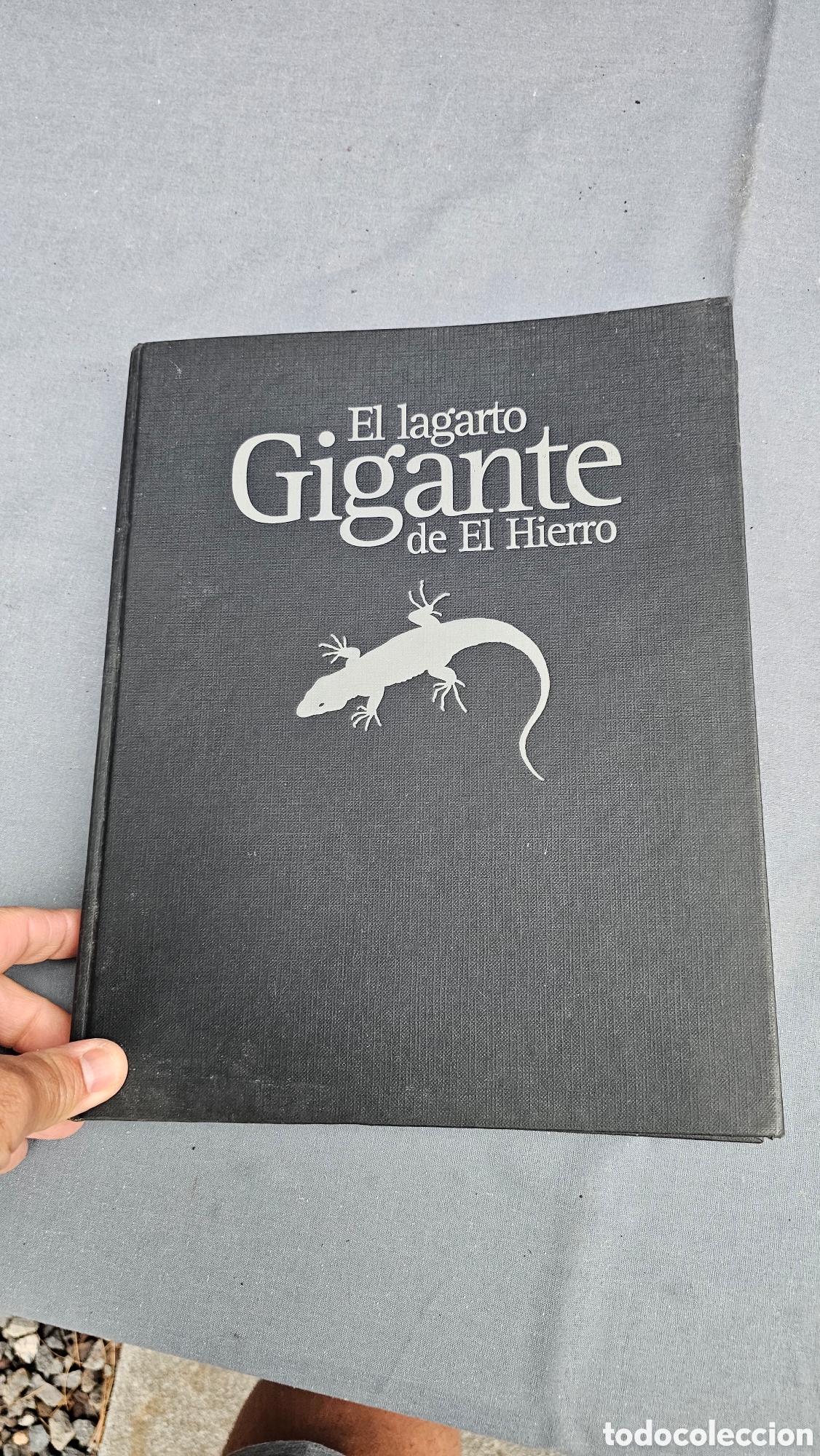 Gebrauchte B&uuml;cher: Libro El lagarto gigante del Hierro