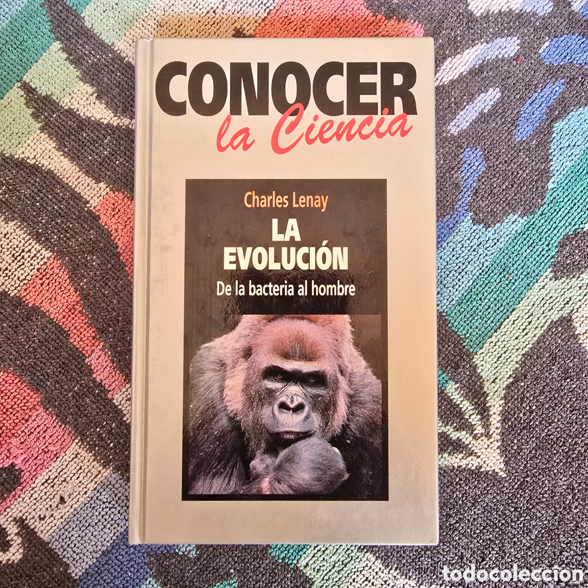 Libros de segunda mano: LA EVOLUCI&Oacute;N, DE LA BACTERIA AL HOMBRE (CHARLES LENAY) (CONOCER LA CIENCIA)