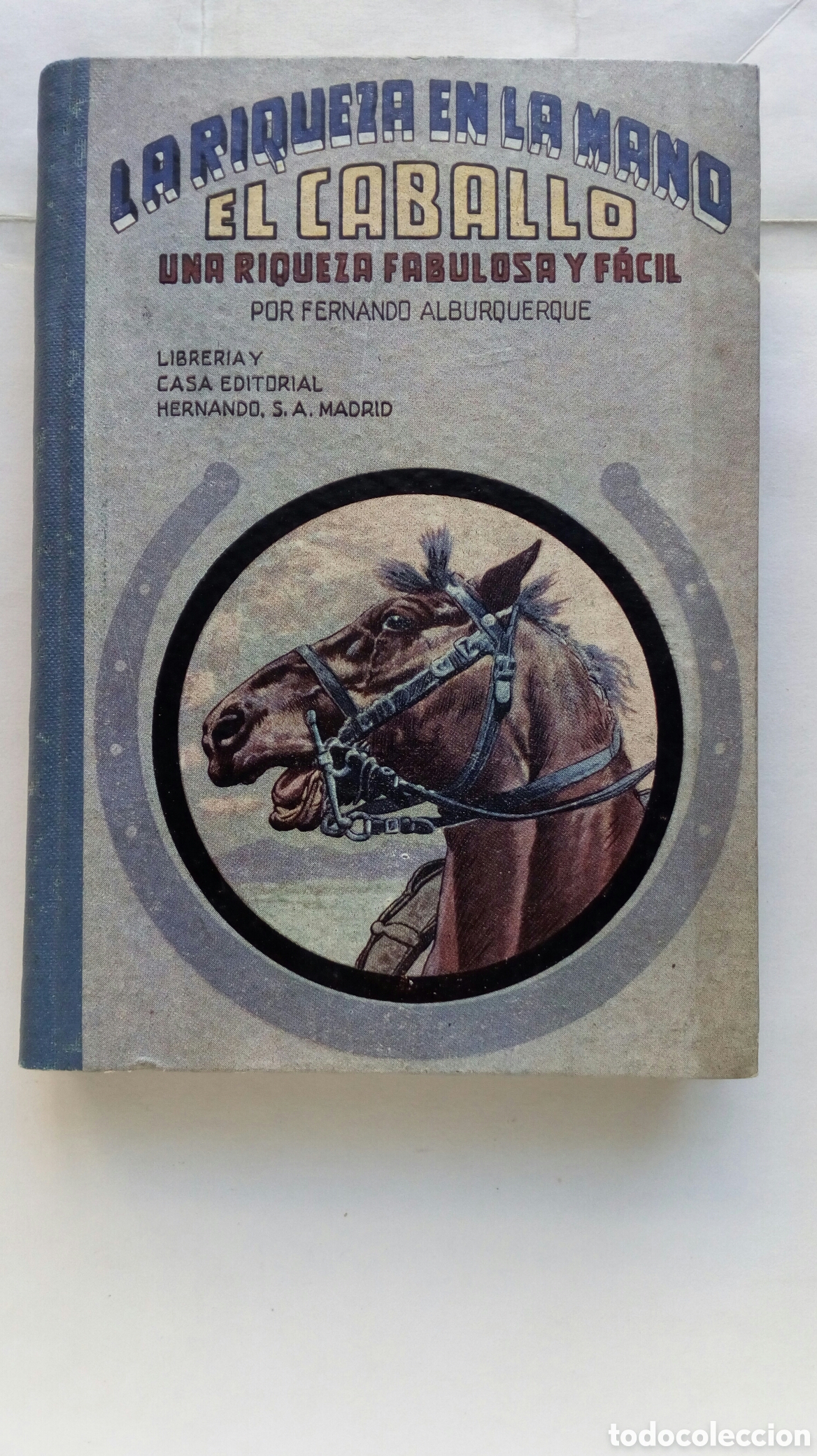 Libros de segunda mano: La riqueza en la mano. El Caballo. Fernando Alburquerque.
