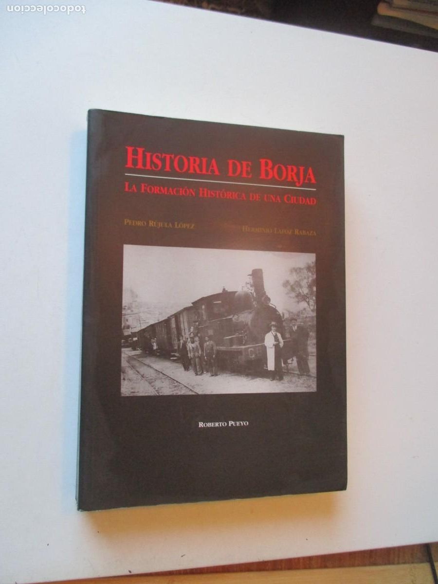 Libros de segunda mano: PEDRO R&Uacute;JULA , HERMINIO LAFOZ Historia de Borja la formaci&oacute;n hist&oacute;rica de una ciudad W40657