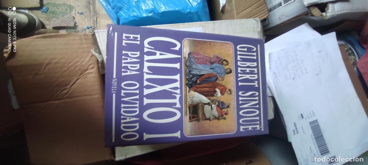Libros de segunda mano: Calixto I: el papa olvidado.- Sinou&eacute;, Gilbert