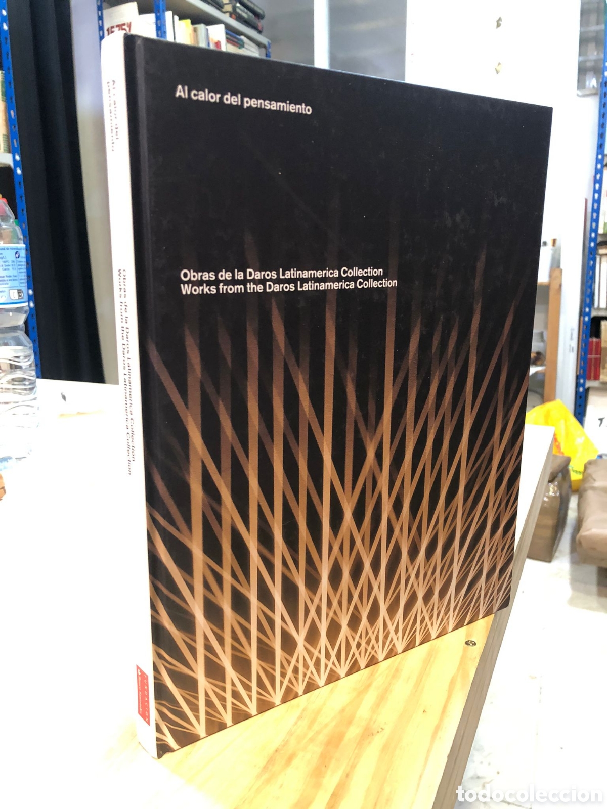 Second hand books: Al calor del pensamiento. Obras de la Daros Latinamerica Collection - VV. AA.