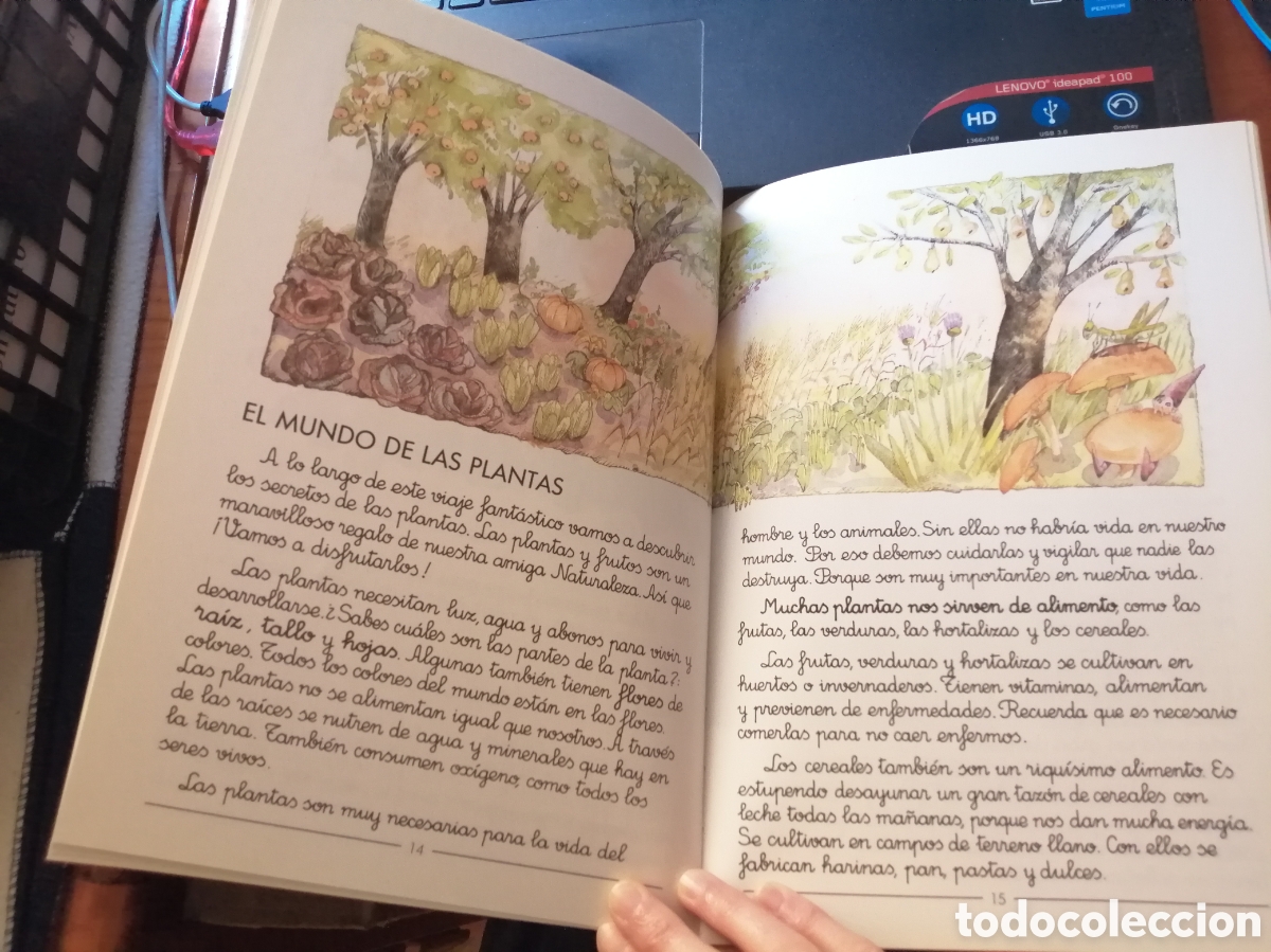 Libros de segunda mano: Bd. La naturaleza (Concepci&oacute;n P&eacute;rez y Marina Seoane) - Foto 3
