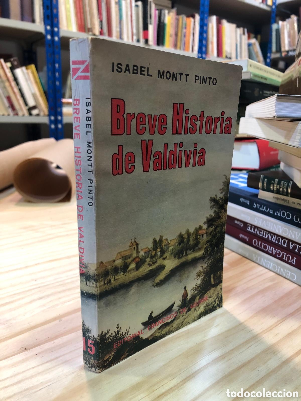 Libros de segunda mano: Breve Historia de Valdivia - Isabel Montt Pinto