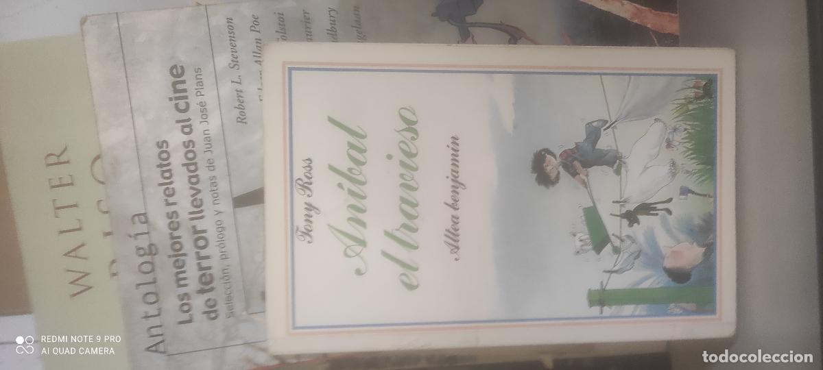 Libros de segunda mano: An&iacute;bal el travieso. Tony Ross Altea Benjamin libros