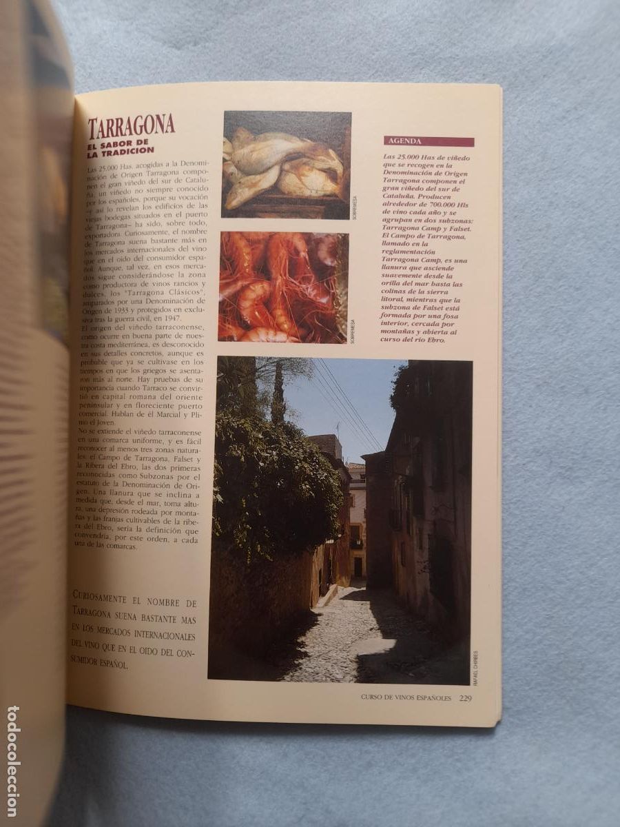 Libros de segunda mano: Curso de Vinos Espa&ntilde;oles. Massimo Galinverti. - Foto 4