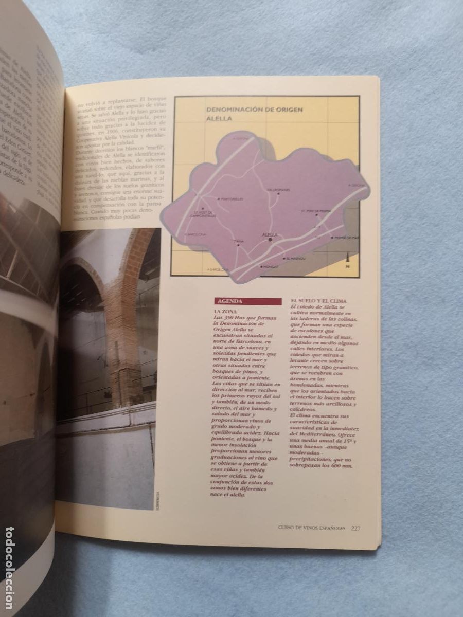 Libros de segunda mano: Curso de Vinos Espa&ntilde;oles. Massimo Galinverti. - Foto 5