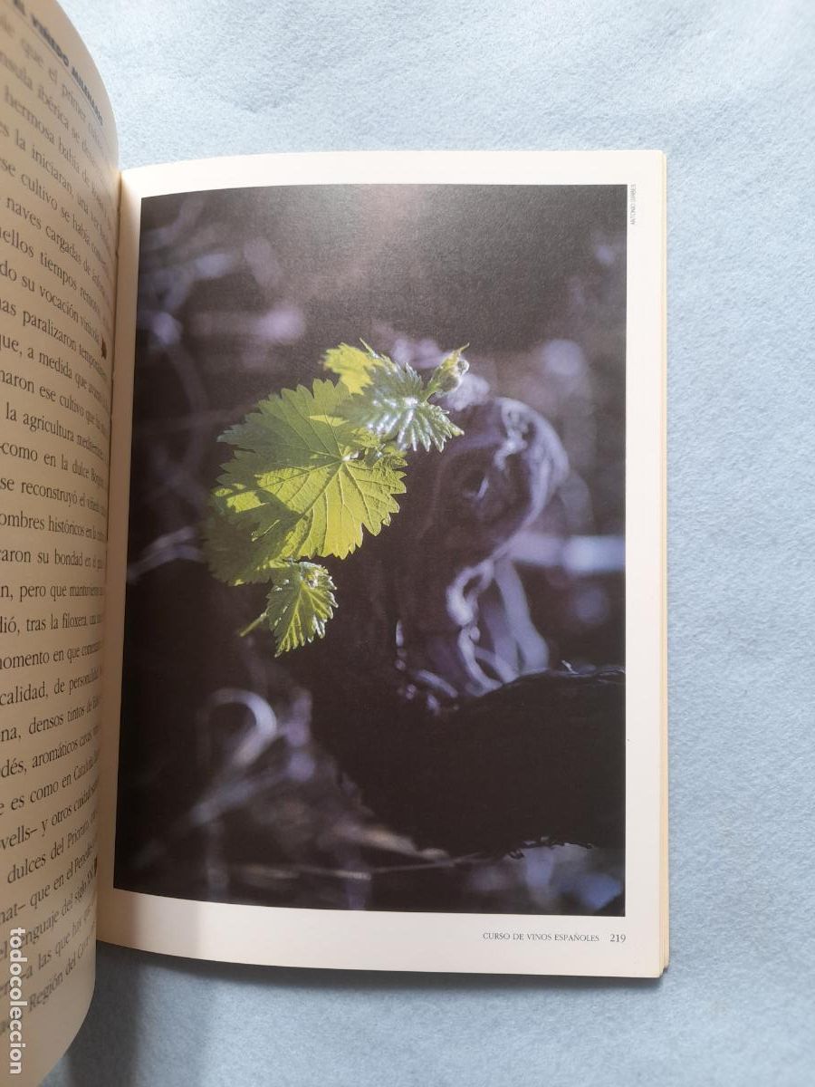 Libros de segunda mano: Curso de Vinos Espa&ntilde;oles. Massimo Galinverti. - Foto 6