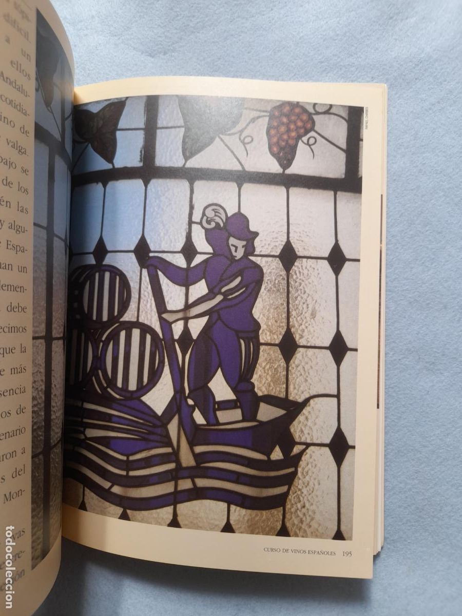 Libros de segunda mano: Curso de Vinos Espa&ntilde;oles. Massimo Galinverti. - Foto 7
