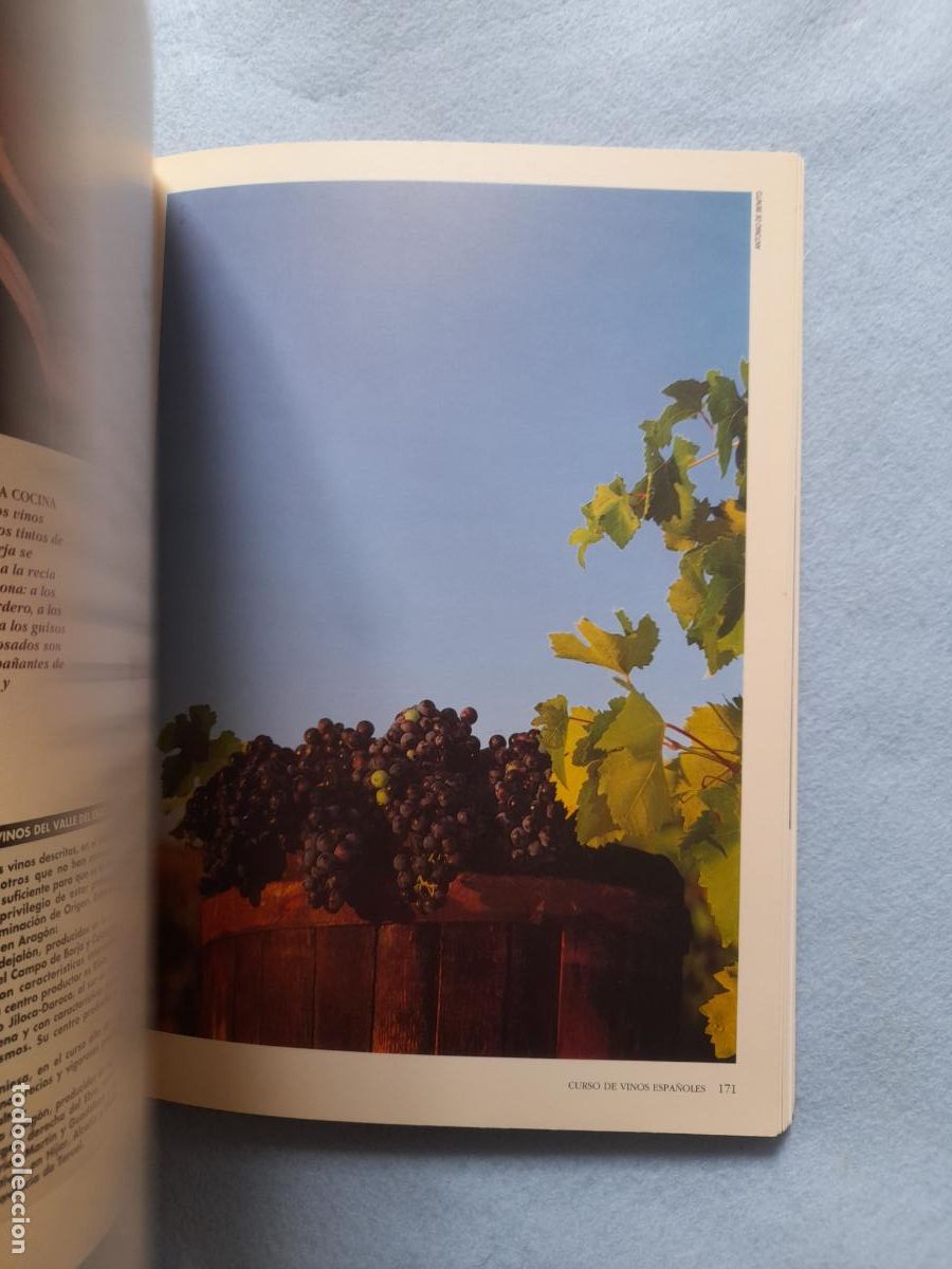 Libros de segunda mano: Curso de Vinos Espa&ntilde;oles. Massimo Galinverti. - Foto 9